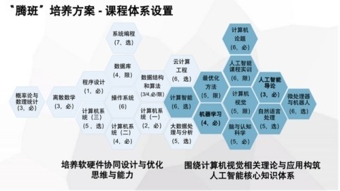 从象牙塔到鹅场 00后开发者如何用AI技术让鹅群存活率飙升30%